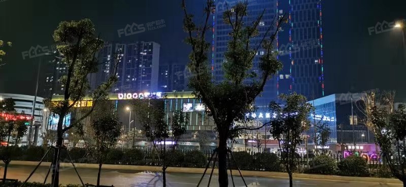（金鑫缤格汇实拍图）