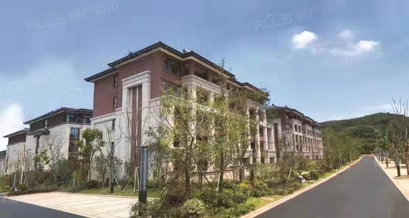 （实景图）