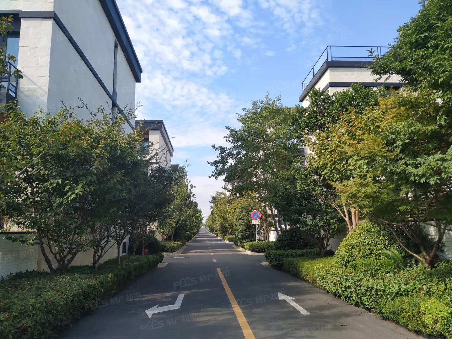 实景图
