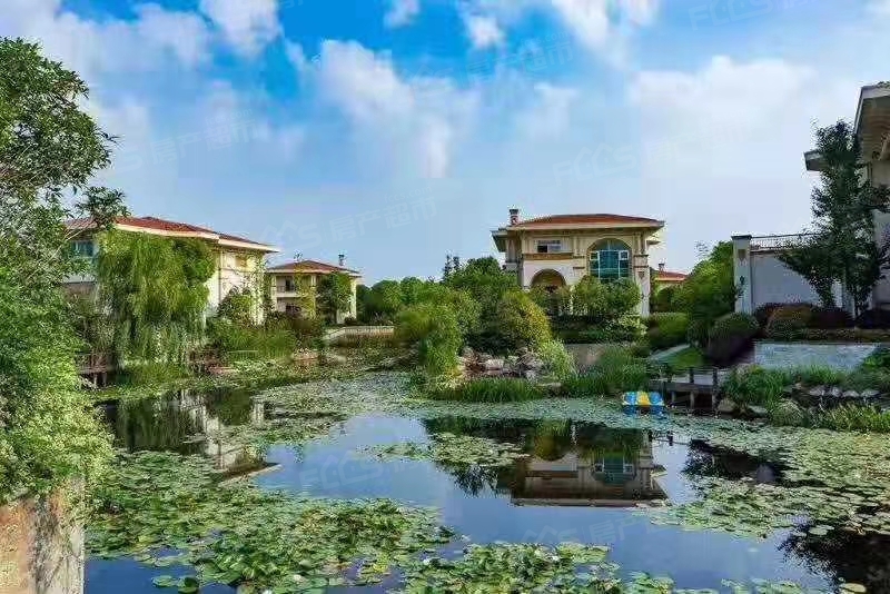 实景图