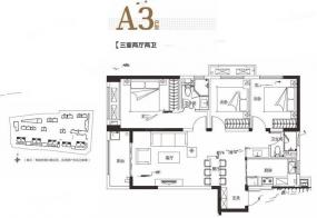 万科民安江山府万科民安江山府a3户型户型图