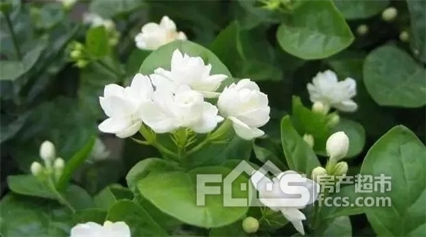 感恩这一载与湖州的相遇