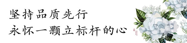 感恩这一载与湖州的相遇