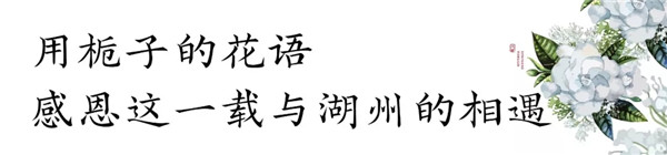 感恩这一载与湖州的相遇