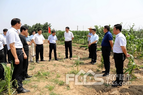 滕州市副市长刘新到龙泉街道调研荆泉路建设和土地储备工作