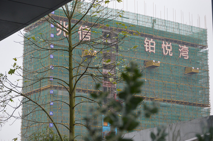 2019房产超市网北海站携北海铂悦湾给网友拜年!