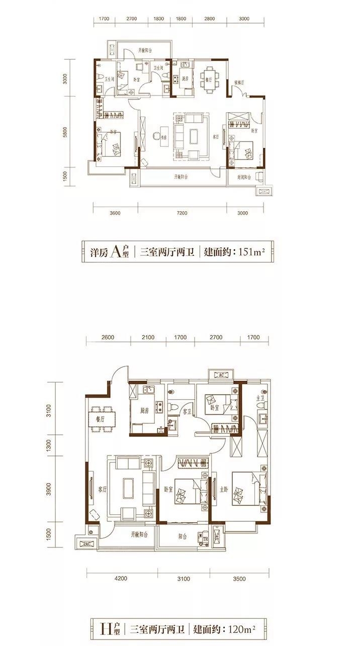 东阿喜园|千人共鉴东方美学产品发布盛典燃爆全城