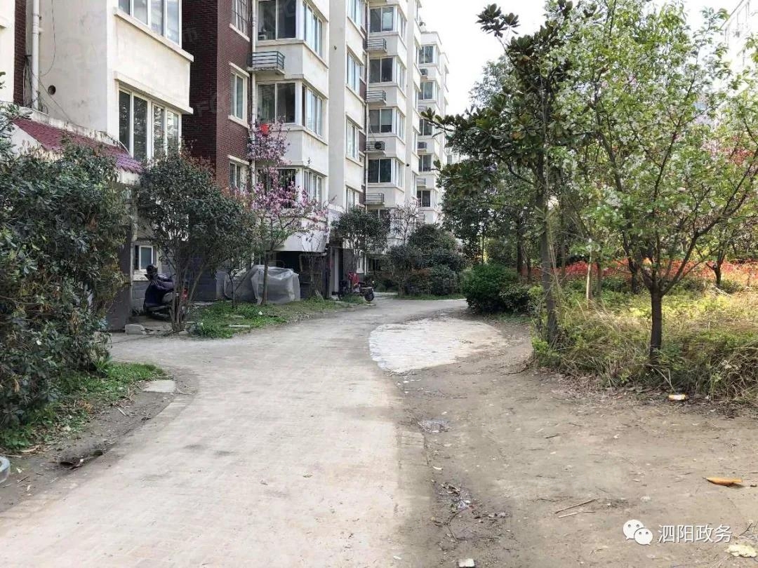 1,新港湾花园泗阳老小区改造好消息来啦!