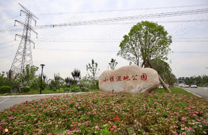 【桐乡经开·回眸2020】这一年,我们的家园蝶变焕新