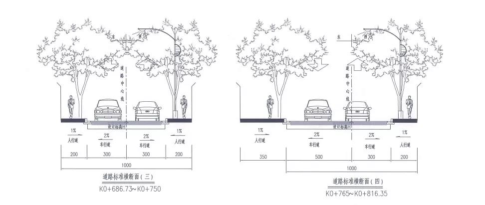 道路标准横断面