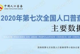 第七次全国人口普查数据