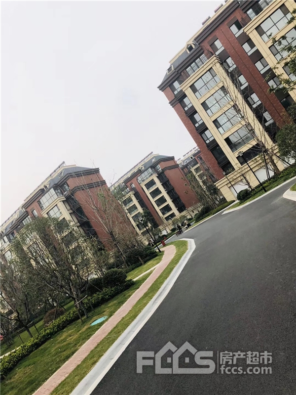 滕州兴滕清水湾金秋实景鉴赏()