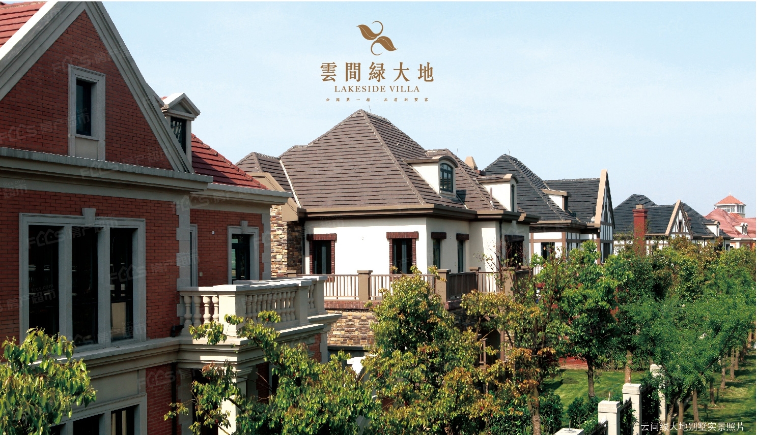 云间绿大地
