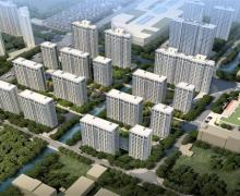 杨帆泊悦的封面图