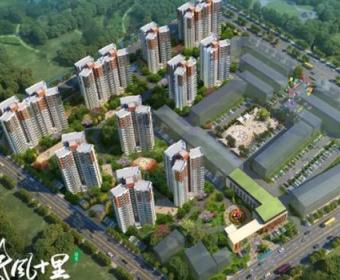 绿意春风十里的封面图
