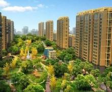 天地新城的封面图