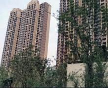华南城中园的封面图