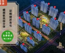 银洲蝶湖中心悦府的封面图
