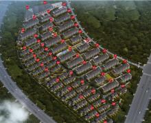 滨江棕榈·十里春晓的封面图