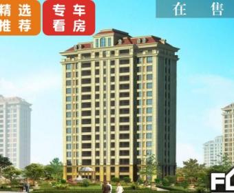 云星洲的封面图
