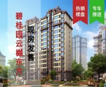 碧桂园云樾东方的封面图