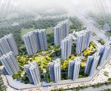 和平星钻碧桂园的封面图