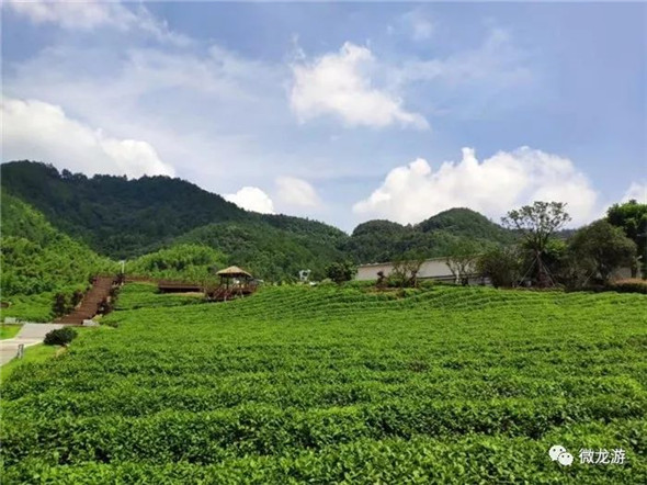 龙山运动小镇图片图片