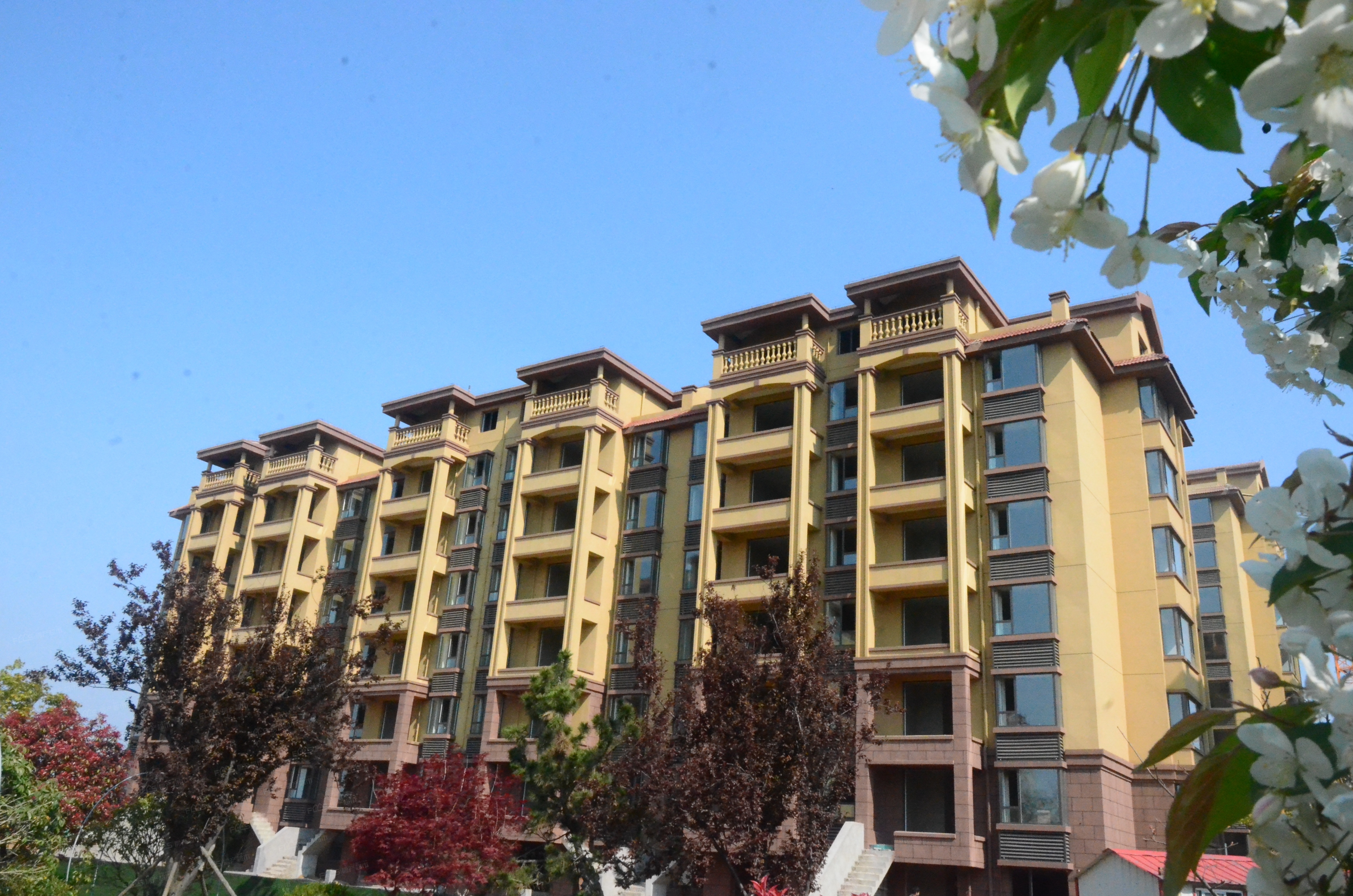 「【岚桥桂花园】市南宜居大盘」- 日照房产超市