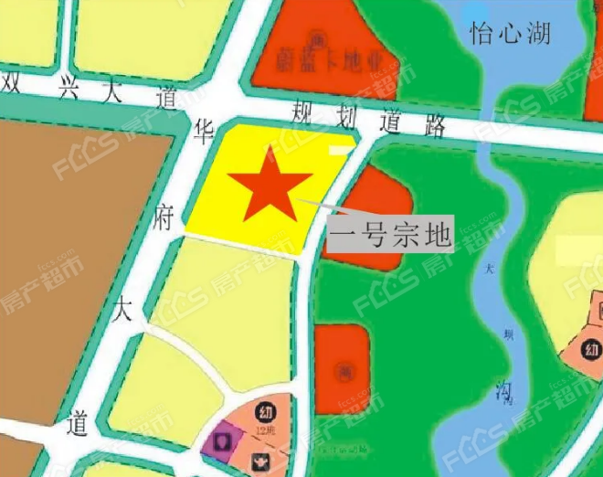 双流大井村规划图片