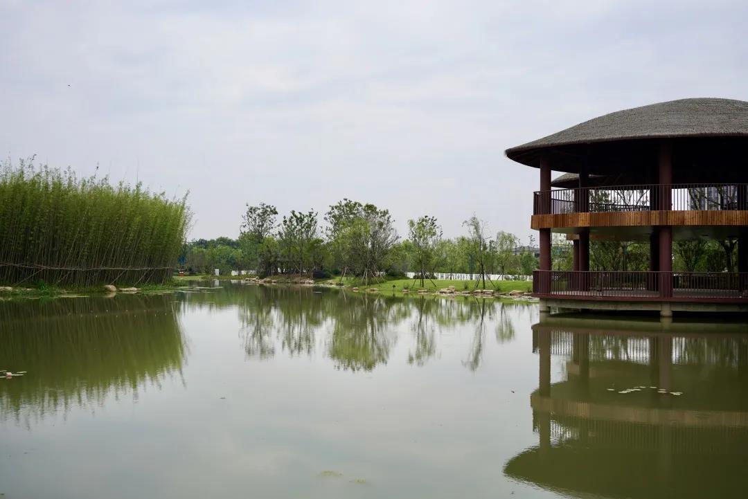 桐乡庆北生态公园图片