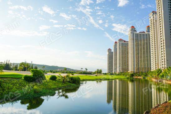 项目实景图