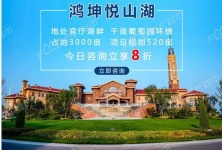 鸿坤·悦山湖和鸿坤葡萄酒小镇到底是不是一个楼盘？有人知道吗？的配图